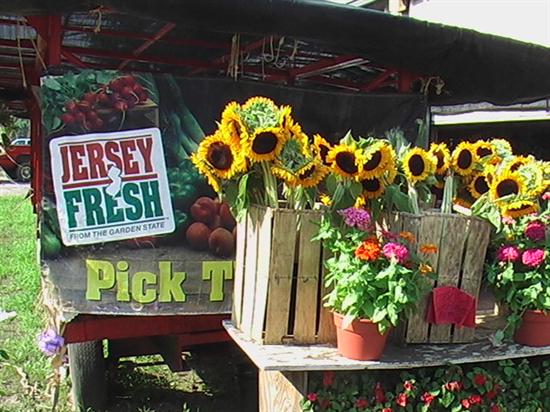 Roadside stands