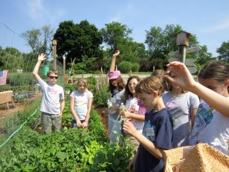Gardening