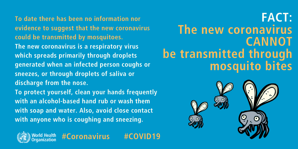 Novel Coronavirus and Mosquito Information